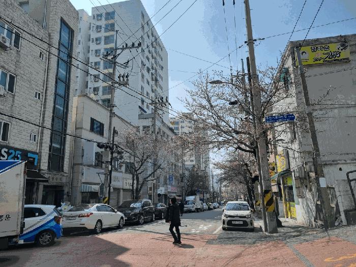 인천 미추홀구 주안동 215-8 창우빌라트2 8층803 아파트 사진 2