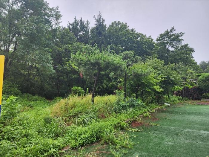 인천 옹진군 영흥면 선재리 산17 임야 사진 2