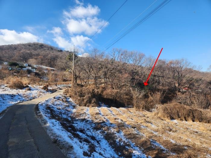 인천 강화군 화도면 내리 1679 임야 사진 2