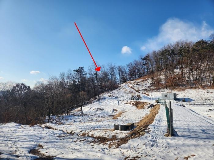 인천 강화군 화도면 내리 1679 임야 사진 3